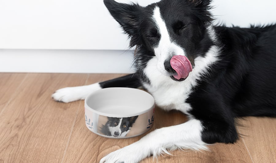 Personalized Pet Bowls